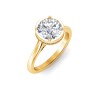 2.5 Ct Round Lab Diamond & .22 Ctw Crown Hidden Halo Bezel Engagement Ring