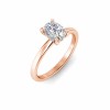 1.5 Ct Elongated Cushion Lab Diamond & .10 Ctw Diamond Hidden Halo Engagement Ring