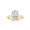 3 Ct Oval Lab Diamond & .10 Ctw Diamond Hidden Halo Engagement Ring